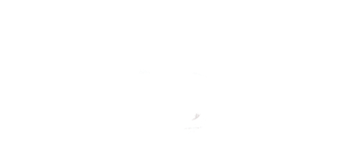 Tomb Raider